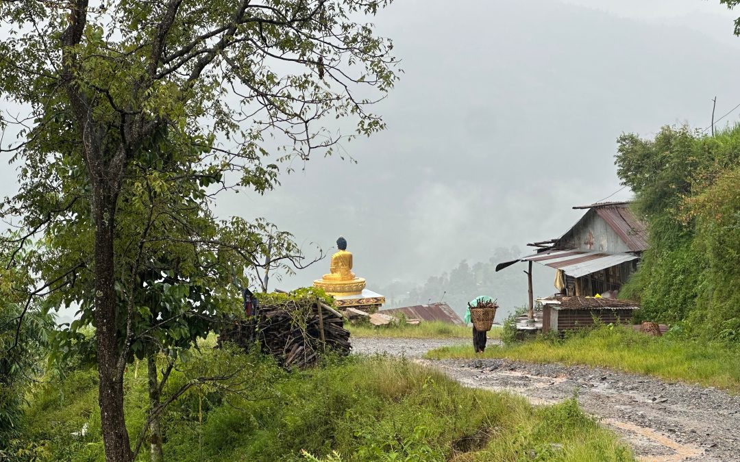 From the Field – Nepal Now