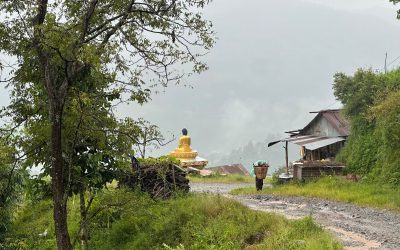 From the Field – Nepal Now